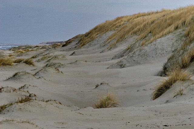 094 Texel.jpg